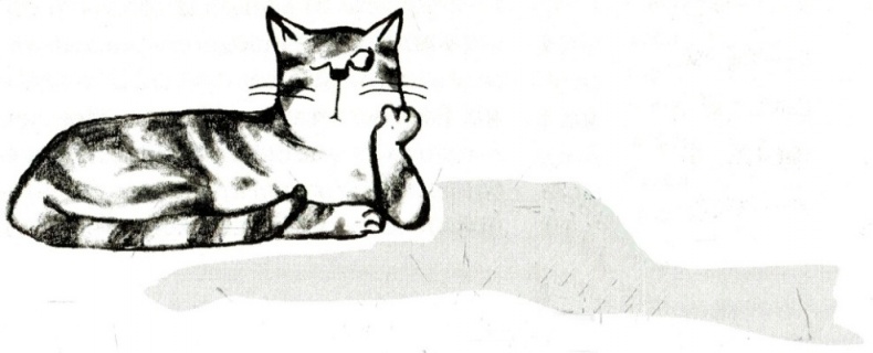 Я всего лишь кошка Я всего лишь кошка