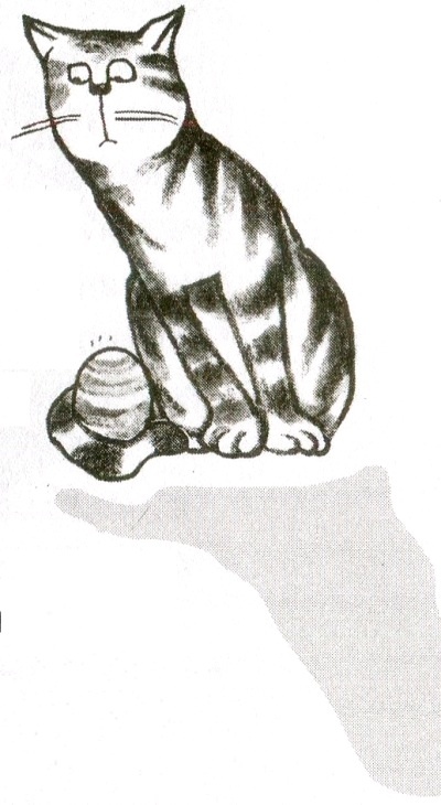 Я всего лишь кошка Я всего лишь кошка