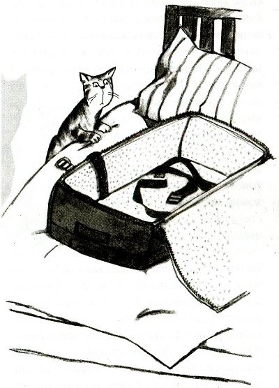 Я всего лишь кошка Я всего лишь кошка