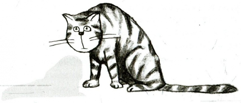 Я всего лишь кошка Я всего лишь кошка