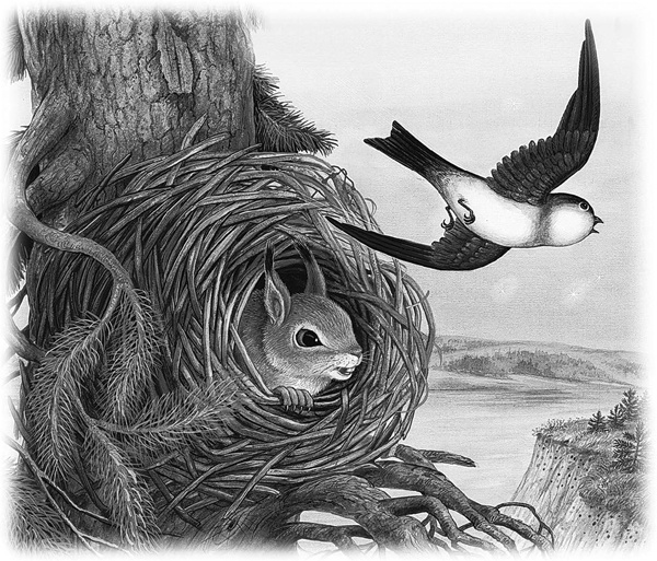 Сказки и рассказы Сказки и рассказы