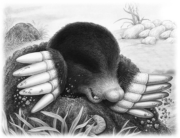 Сказки и рассказы Сказки и рассказы