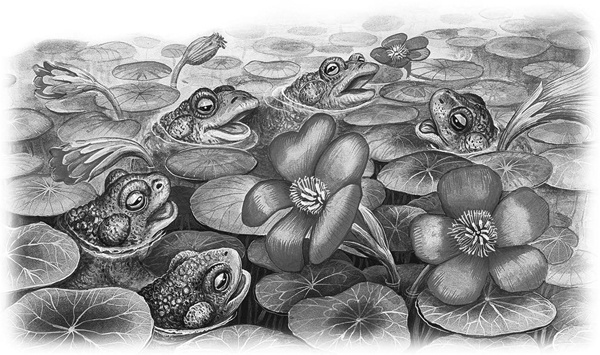 Сказки и рассказы Сказки и рассказы