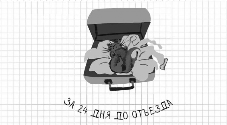 Дневник дебильного кота. Великое путешествие Эдгара Дневник дебильного кота. Великое путешествие Эдгара
