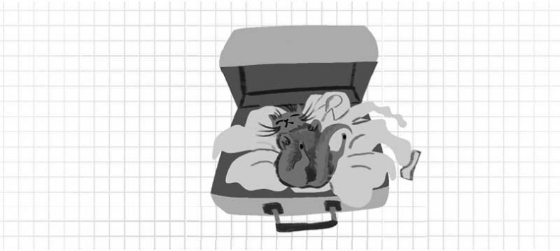 Дневник дебильного кота. Великое путешествие Эдгара Дневник дебильного кота. Великое путешествие Эдгара