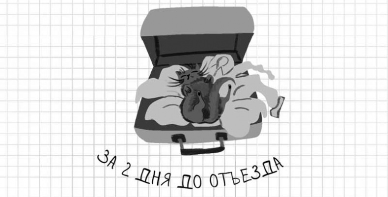 Дневник дебильного кота. Великое путешествие Эдгара Дневник дебильного кота. Великое путешествие Эдгара