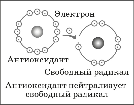 Как обмануть возраст Как обмануть возраст