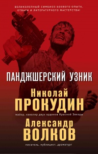 Панджшерский узник - Александр Волков - Читать книги онлайн | Слушать аудиокниги онлайн | Электронная библиотека books-lib.com