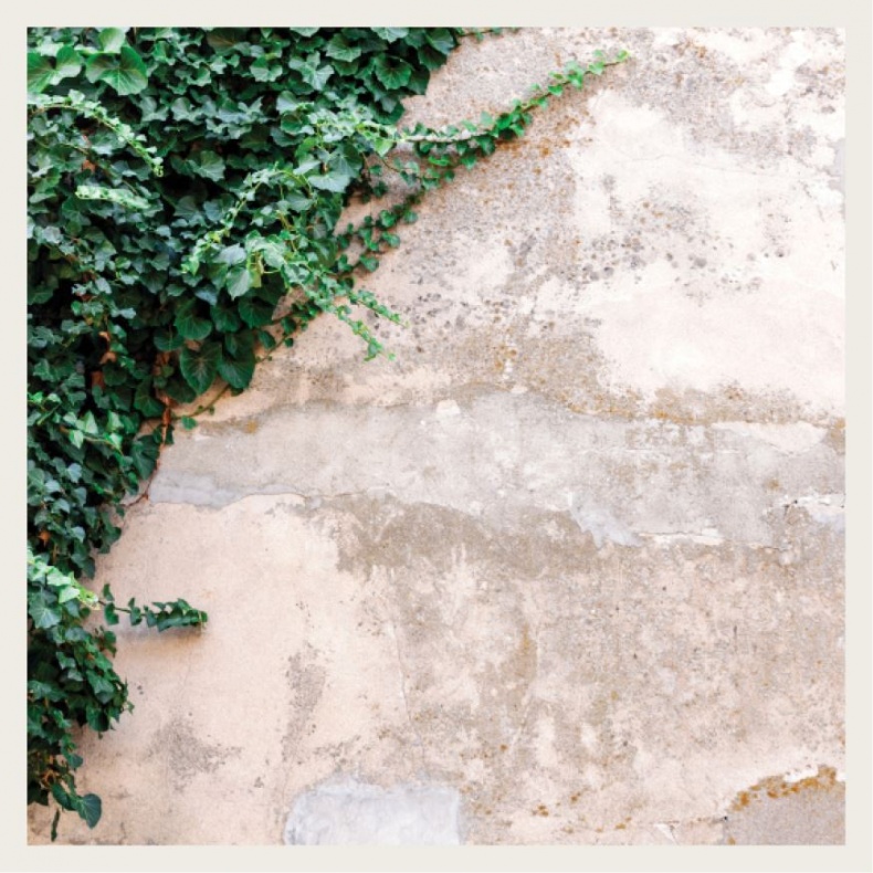 Wabi Sabi. Японские секреты истинного счастья в неидеальном мире Wabi Sabi. Японские секреты истинного счастья в неидеальном мире