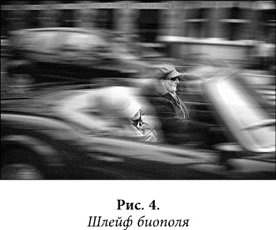 Квантовая биомеханика тела. Методика оздоровления опорно-двигательного аппарата. Часть 2 Квантовая биомеханика тела. Методика оздоровления опорно-двигательного аппарата. Часть 2