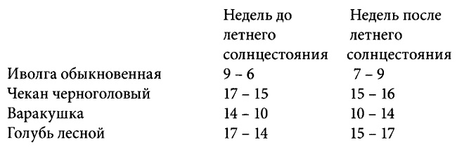 Время. Ритмы и паузы Время. Ритмы и паузы