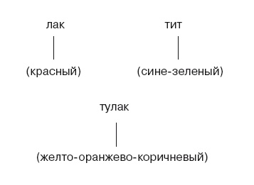 Большая энциклопедия НЛП. Структура магии Большая энциклопедия НЛП. Структура магии