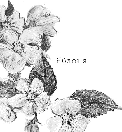 Лесная сказка. С вопросами и ответами для почемучек Лесная сказка. С вопросами и ответами для почемучек