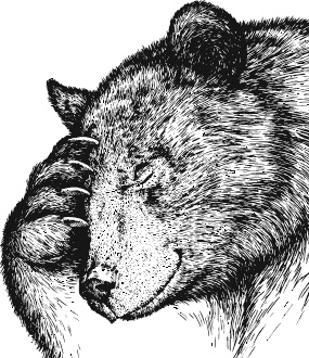 Лесная сказка. С вопросами и ответами для почемучек Лесная сказка. С вопросами и ответами для почемучек