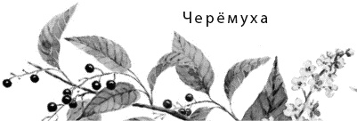 Лесная сказка. С вопросами и ответами для почемучек Лесная сказка. С вопросами и ответами для почемучек