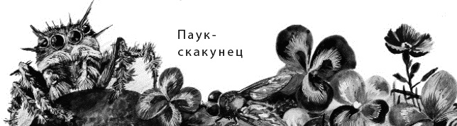 Лесная сказка. С вопросами и ответами для почемучек Лесная сказка. С вопросами и ответами для почемучек