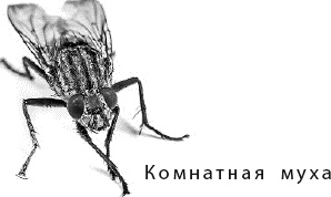 Лесная сказка. С вопросами и ответами для почемучек Лесная сказка. С вопросами и ответами для почемучек