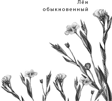 Лесная сказка. С вопросами и ответами для почемучек Лесная сказка. С вопросами и ответами для почемучек