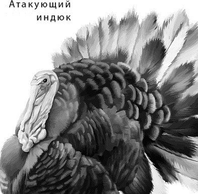 Лесная сказка. С вопросами и ответами для почемучек Лесная сказка. С вопросами и ответами для почемучек