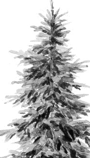 Лесная сказка. С вопросами и ответами для почемучек