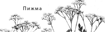 Лесная сказка. С вопросами и ответами для почемучек Лесная сказка. С вопросами и ответами для почемучек