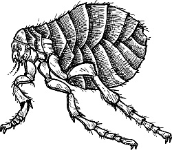 Лесная сказка. С вопросами и ответами для почемучек