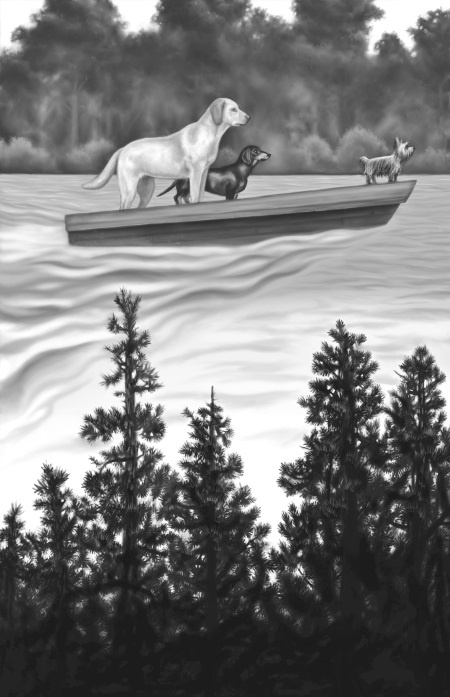 Верные. Книга 2. Тайна трёх колец Верные. Книга 2. Тайна трёх колец