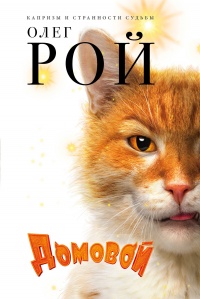 Домовой - Олег Рой - Читать книги онлайн | Слушать аудиокниги онлайн | Электронная библиотека books-lib.com