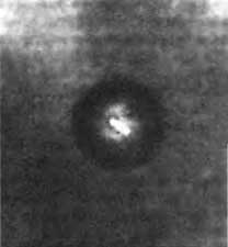 Биологическая война. Введение в эпидемиологию искусственных эпидемических процессов и биологических поражений Биологическая война. Введение в эпидемиологию искусственных эпидемических процессов и биологических поражений