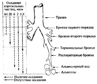 Биологическая война. Введение в эпидемиологию искусственных эпидемических процессов и биологических поражений Биологическая война. Введение в эпидемиологию искусственных эпидемических процессов и биологических поражений