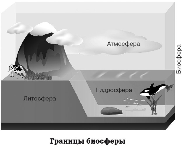 География на пальцах География на пальцах