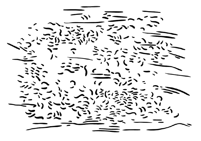 0,05. Доказательная медицина от магии до поисков бессмертия 0,05. Доказательная медицина от магии до поисков бессмертия