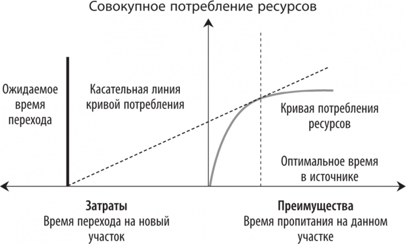 Рассеянный ум. Как нашему древнему мозгу выжить в мире новейших цифровых технологий Рассеянный ум. Как нашему древнему мозгу выжить в мире новейших цифровых технологий