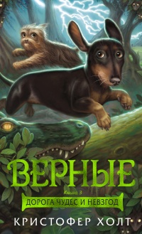 Верные. Книга 3. Дорога чудес и невзгод - Кристофер Холт - Читать книги онлайн | Слушать аудиокниги онлайн | Электронная библиотека books-lib.com