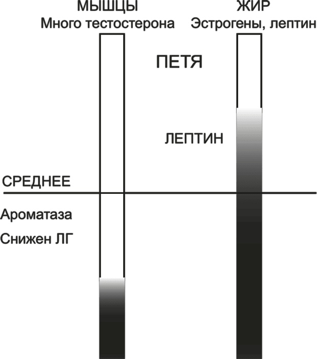 FreshLife28. Как начать новую жизнь в понедельник и не бросить во вторник FreshLife28. Как начать новую жизнь в понедельник и не бросить во вторник