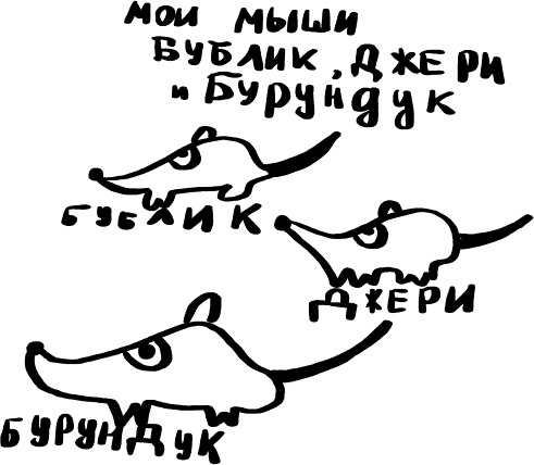 Как выжить среди принцесс Как выжить среди принцесс