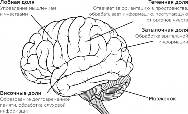 Забывчивость - мое второе ... что-то там. Как вернуть то, что постоянно вылетает из головы Забывчивость - мое второе ... что-то там. Как вернуть то, что постоянно вылетает из головы