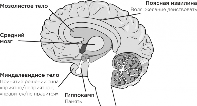 Забывчивость - мое второе ... что-то там. Как вернуть то, что постоянно вылетает из головы Забывчивость - мое второе ... что-то там. Как вернуть то, что постоянно вылетает из головы