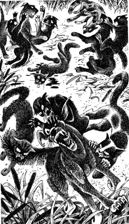 Звездная тропа Звездная тропа