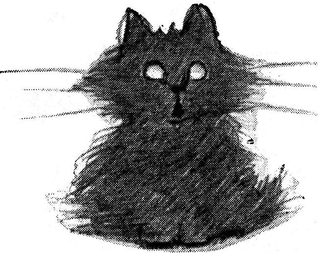 Таинственный мир кошек. Мифология, история и наука о сверхъестественных способностях самого независимого домашнего питомца Таинственный мир кошек. Мифология, история и наука о сверхъестественных способностях самого независимого домашнего питомца