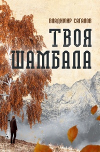 Твоя Шамбала - Владимир Сагалов - Читать книги онлайн | Слушать аудиокниги онлайн | Электронная библиотека books-lib.com