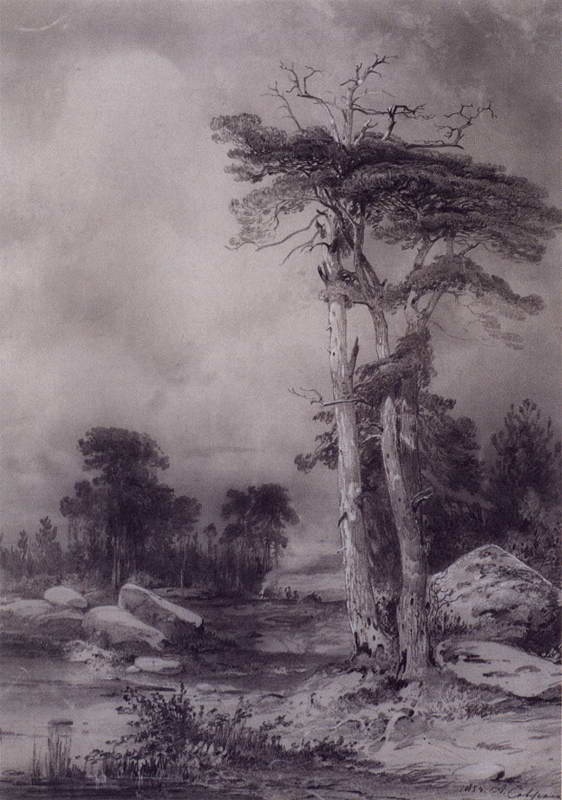 Саврасов Саврасов