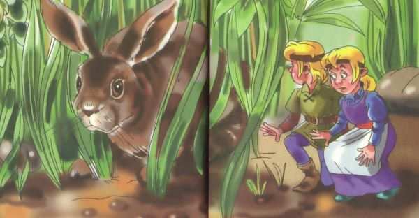 Желтая книга фей Желтая книга фей