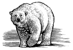 Лед Лед