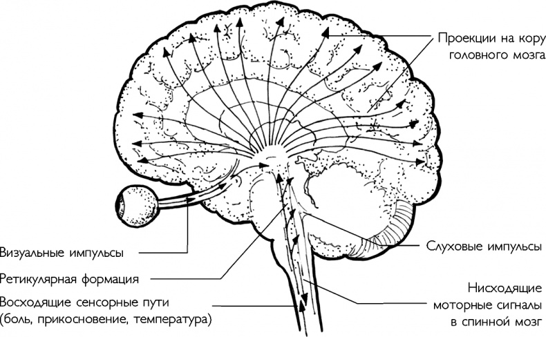 Ответ. Проверенная методика достижения недостижимого Ответ. Проверенная методика достижения недостижимого