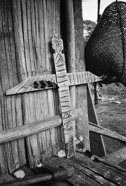 Как мыслят леса. К антропологии по ту сторону человека