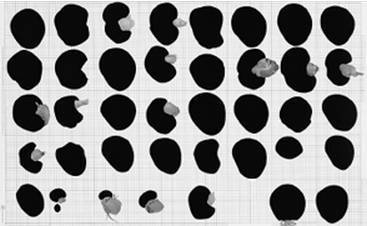 Инсектопедия Инсектопедия