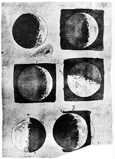 Инсектопедия Инсектопедия