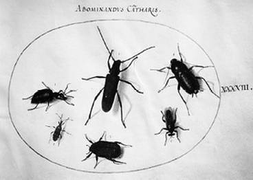 Инсектопедия Инсектопедия
