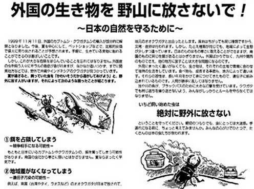 Инсектопедия Инсектопедия